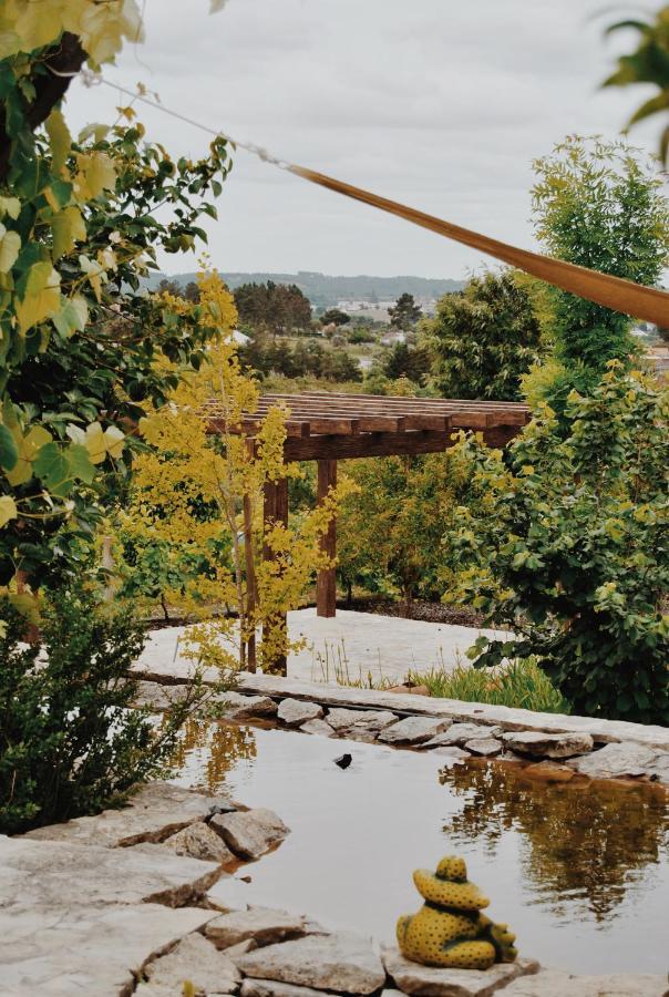 Gospodarstwo agroturystyczne Quinta De Sao Pedro De Tomar