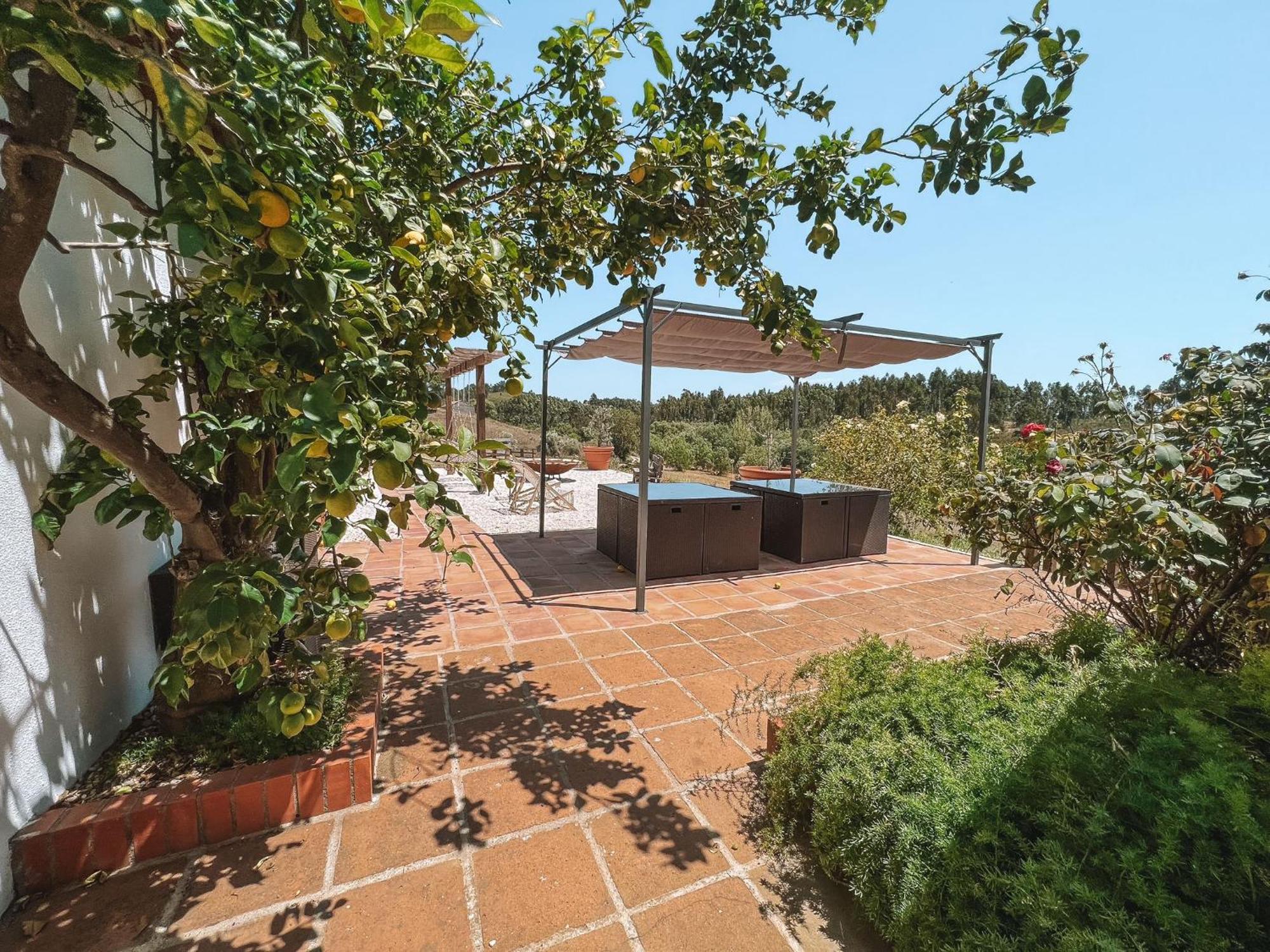 Quinta De Sao Pedro De Farm stay *